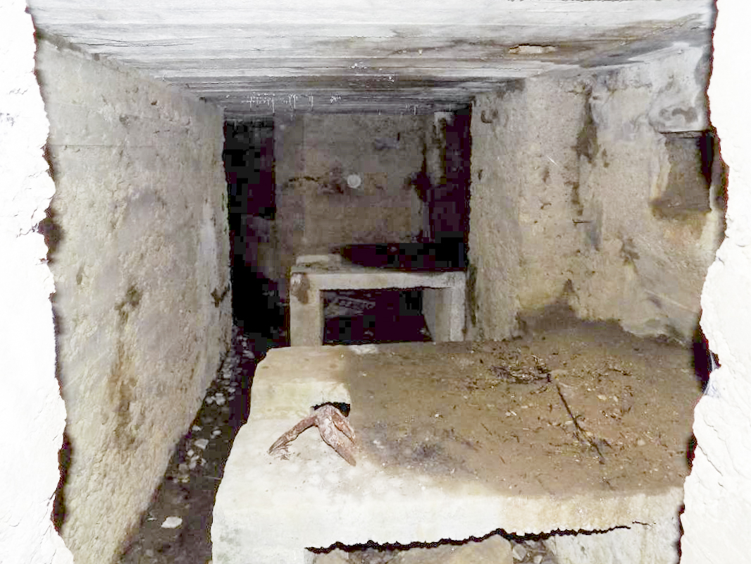 Ligne Maginot - 14 - PRE AUX PIERRES NORD - (Blockhaus pour arme infanterie) - Les deux Hotchkiss, face sud-est - R Tucker