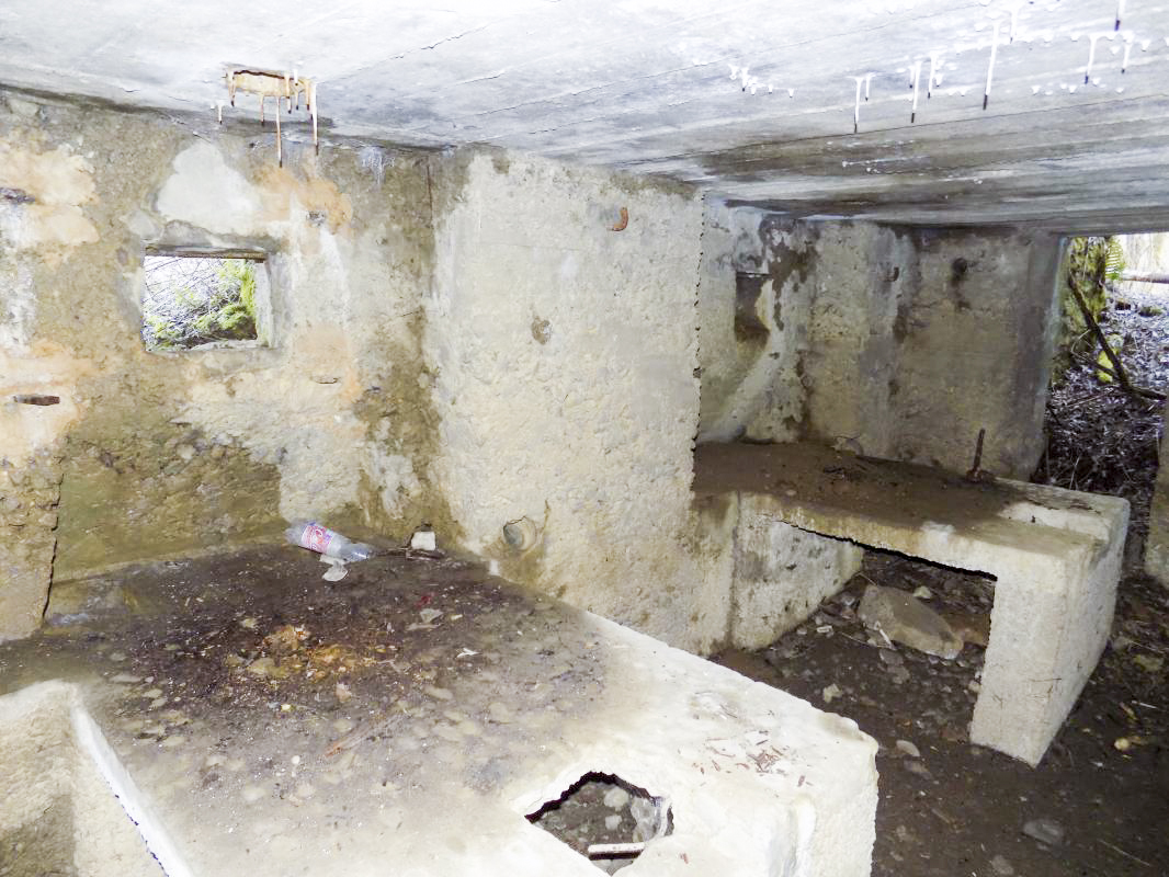 Ligne Maginot - 14 - PRE AUX PIERRES NORD - (Blockhaus pour arme infanterie) - Les deux Hotchkiss, face sud-est - R Tucker