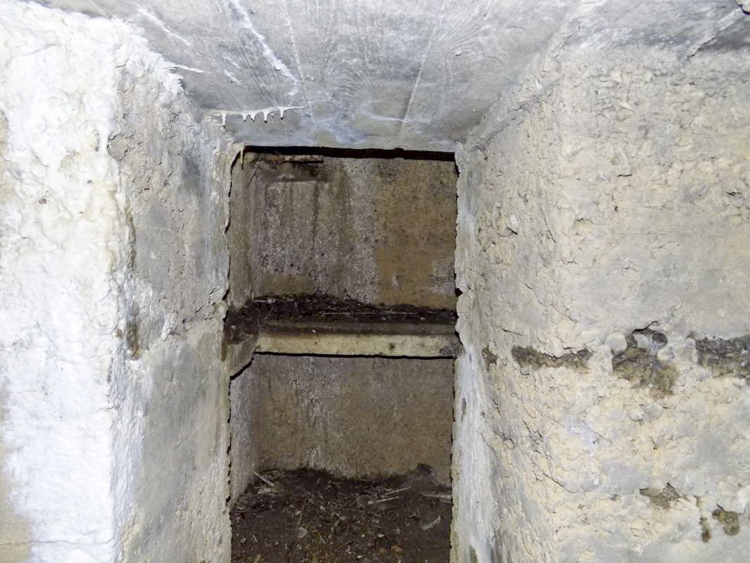 Ligne Maginot - 14 - PRE AUX PIERRES NORD - (Blockhaus pour arme infanterie) - Puits vertical - R Tucker