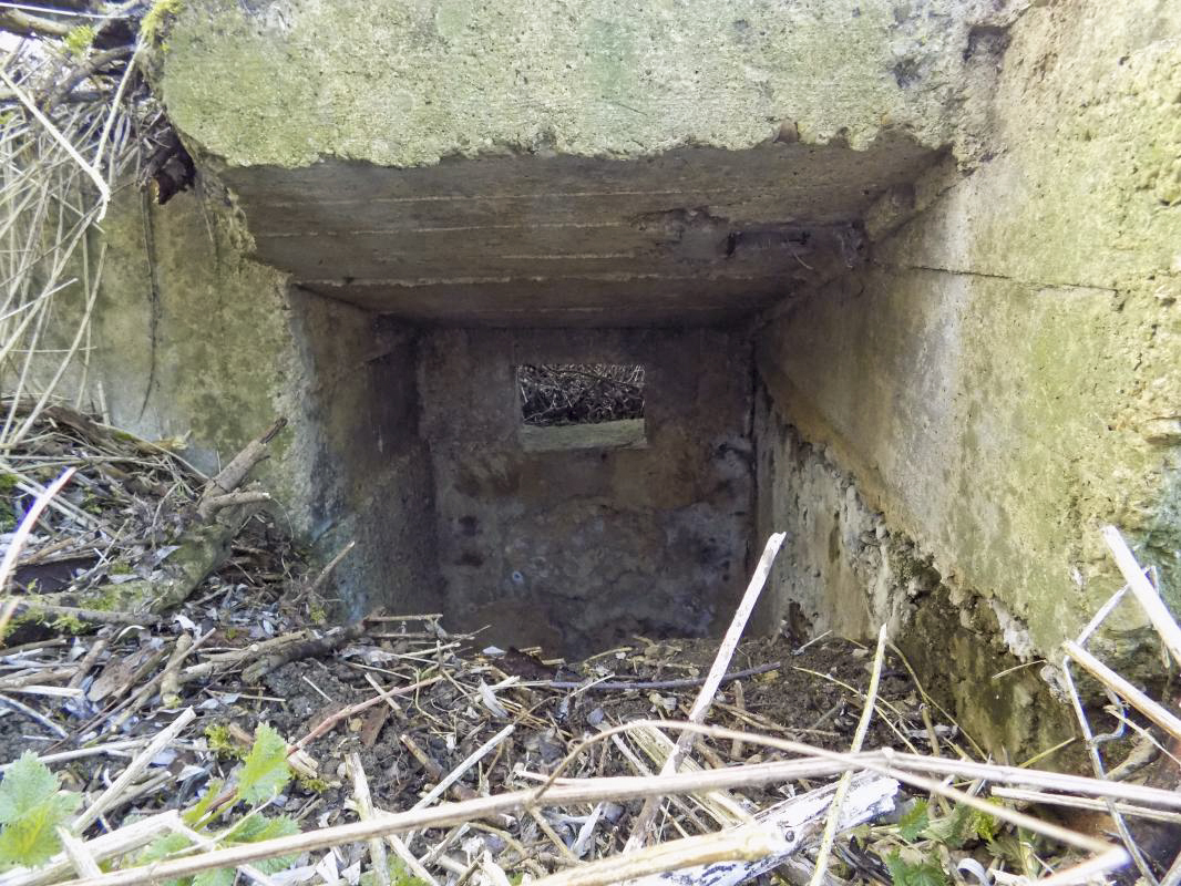Ligne Maginot - 14 - PRE AUX PIERRES NORD - (Blockhaus pour arme infanterie) - Puits vertical avec créneau vers le pont - R Tucker