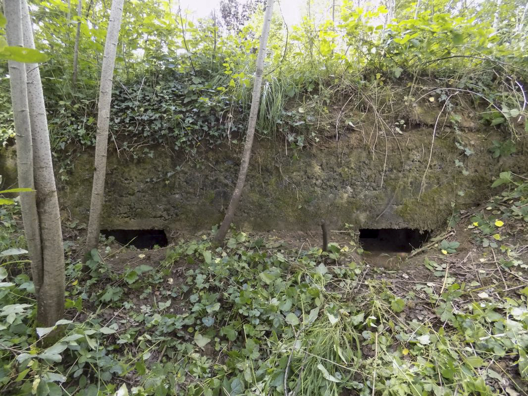 Ligne Maginot - 15 - LA COME - (Blockhaus pour arme infanterie) - Face frontale, direction de tir vers l'est - R Tucker