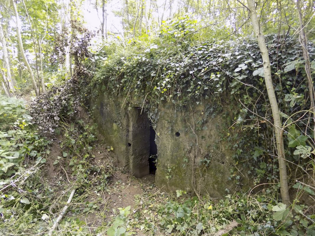 Ligne Maginot - 15 - LA COME - (Blockhaus pour arme infanterie) - L'arrière. On peut voir que le bloc est situé dans le remblai de la voie de chemin de fer (désaffectée) - R Tucker
