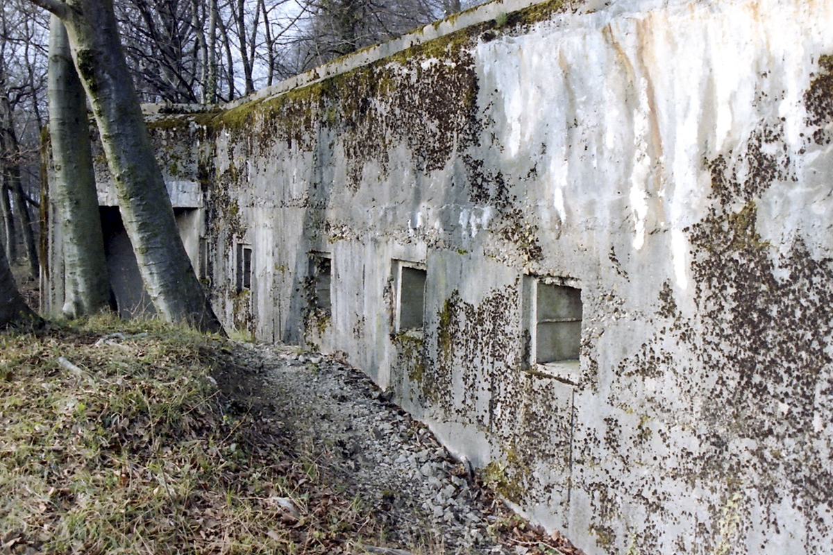 Ligne Maginot - BOIS DE LA COTE (169° RIF) - (PC de Sous-Secteur) - Le bâtiment principal disparu - Alain Perouffe