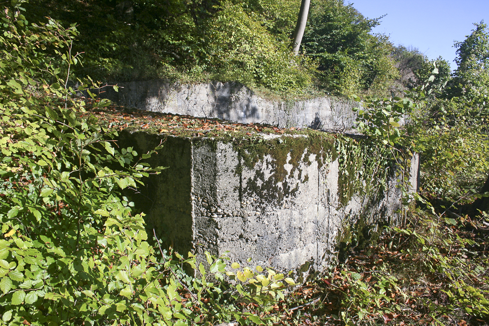 Ligne Maginot - BOIS DE LA COTE (169° RIF) - (PC de Sous-Secteur) - Abri bétonné inachevé - Michel Teiten