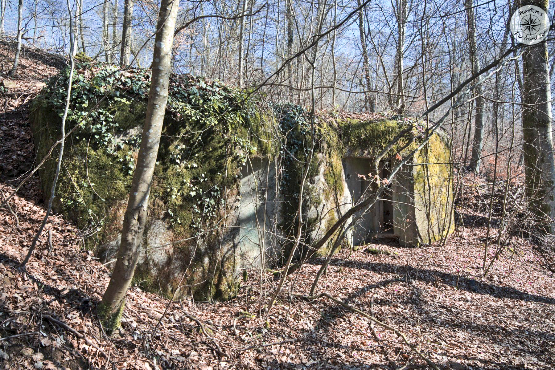 Ligne Maginot - BOIS DE LA COTE (169° RIF) - (PC de Sous-Secteur) -  - Thierry Caland