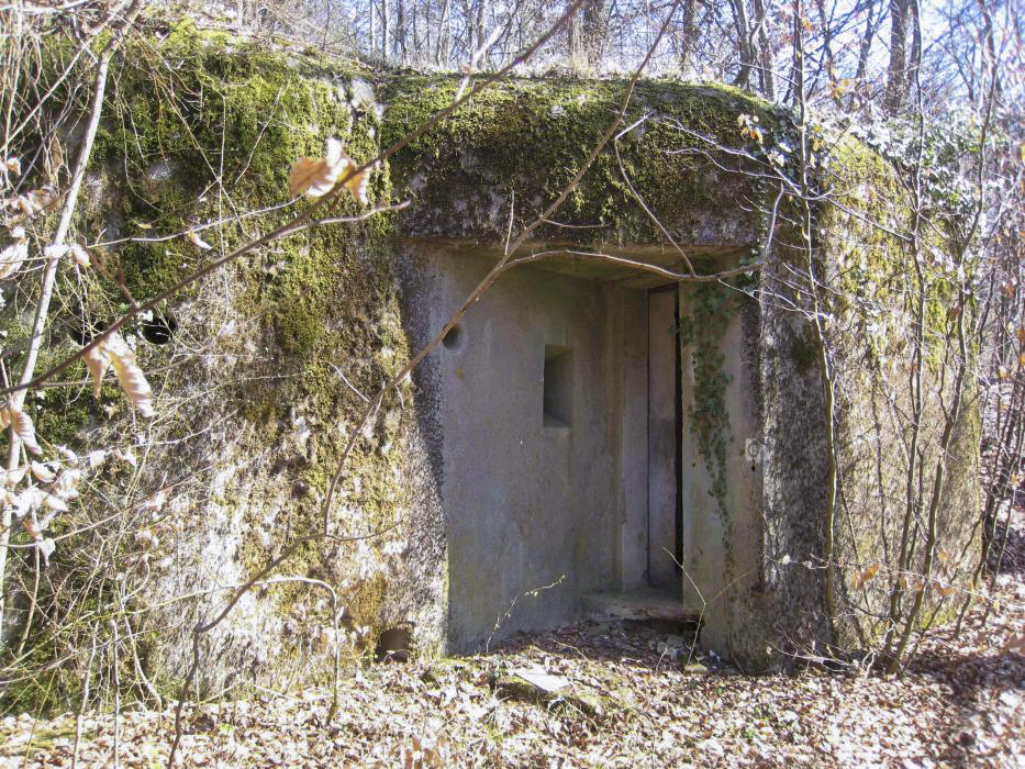 Ligne Maginot - BOIS DE LA COTE (169° RIF) - (PC de Sous-Secteur) - Le bâtiment abritant le central téléphonique du PC - Pruzsina jerome