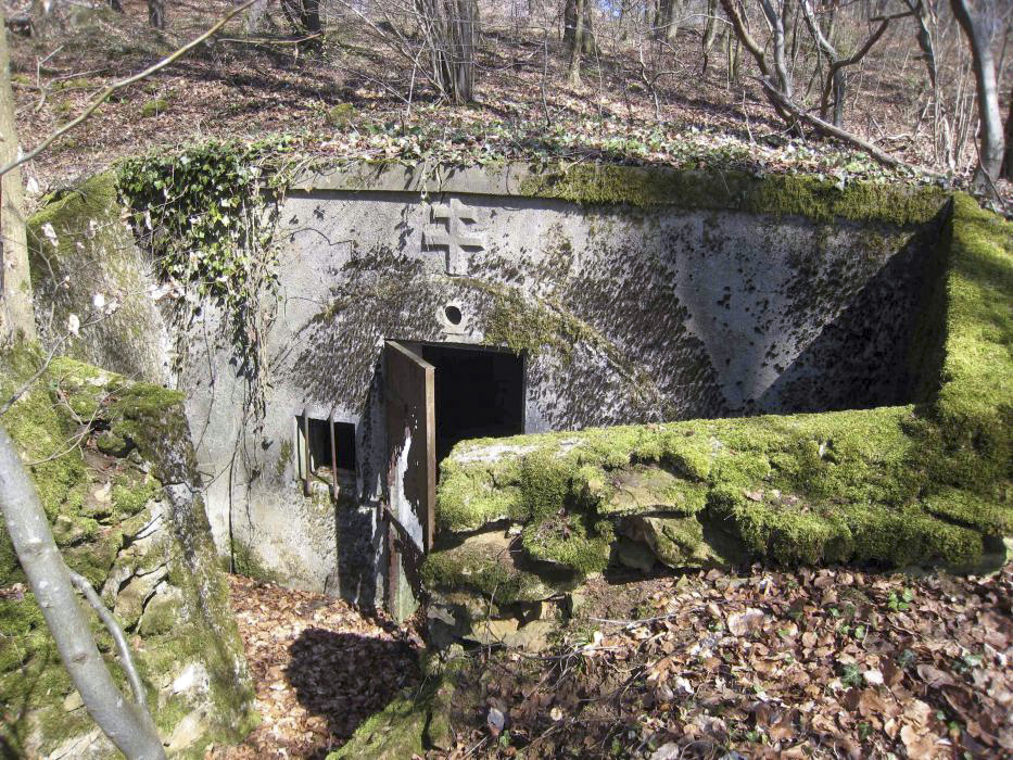 Ligne Maginot - BOIS DE LA COTE (169° RIF) - (PC de Sous-Secteur) -  - Pruzsina jerome