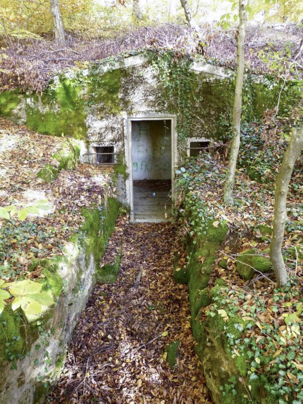 Ligne Maginot - BOIS DE LA COTE (169° RIF) - (PC de Sous-Secteur) - L'une des alvéoles du PC - Sylvie Laure LAMBERT
