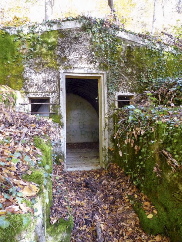 Ligne Maginot - BOIS DE LA COTE (169° RIF) - (PC de Sous-Secteur) - L'une des alvéoles du PC - Sylvie Laure LAMBERT