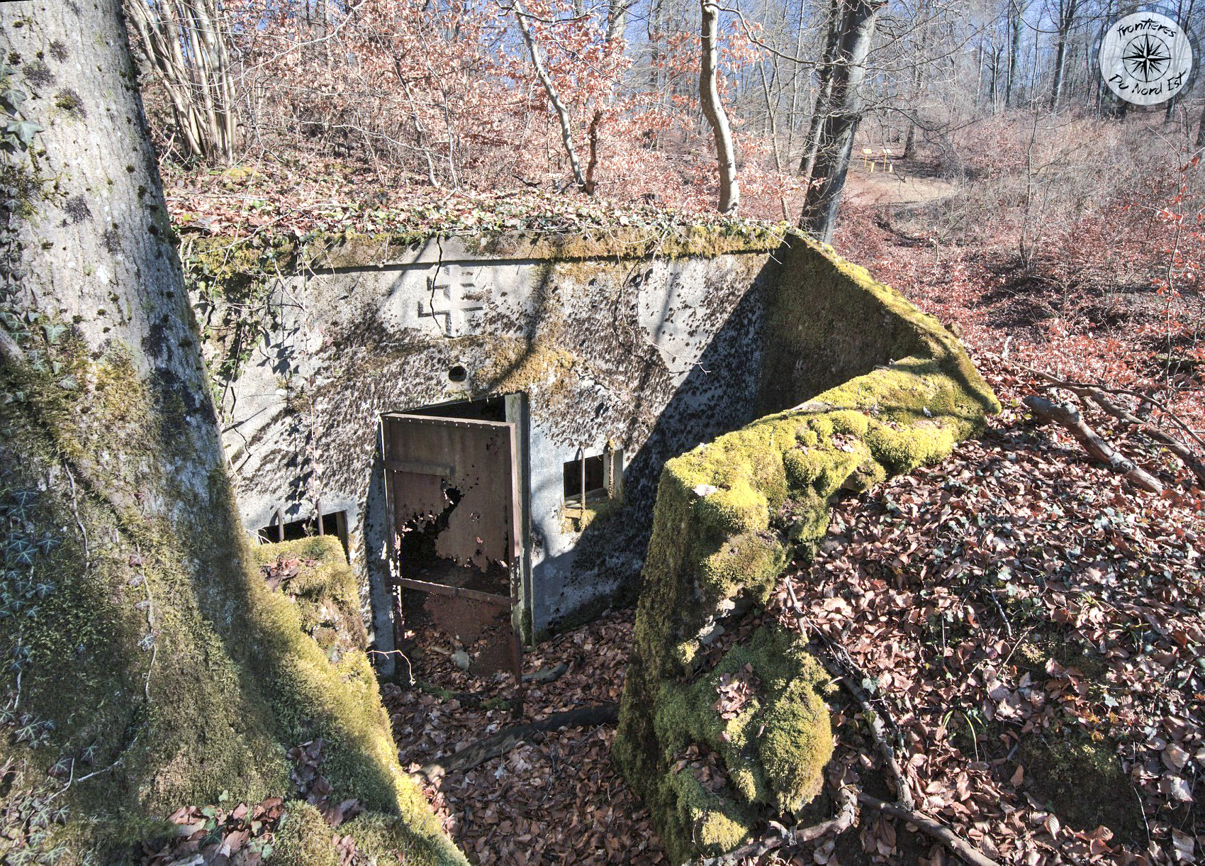 Ligne Maginot - BOIS DE LA COTE (169° RIF) - (PC de Sous-Secteur) -  - Thierry Caland