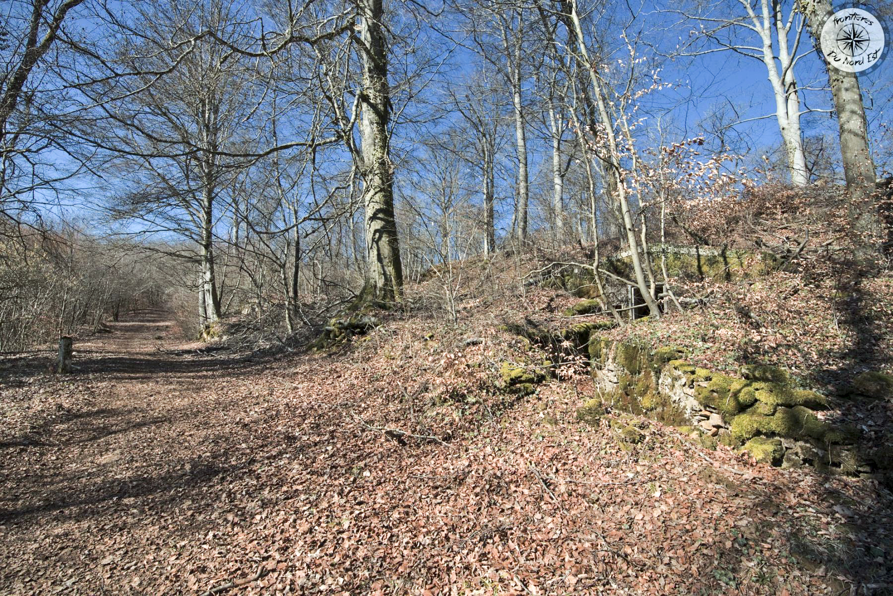 Ligne Maginot - BOIS DE LA COTE (169° RIF) - (PC de Sous-Secteur) -  - Thierry Caland