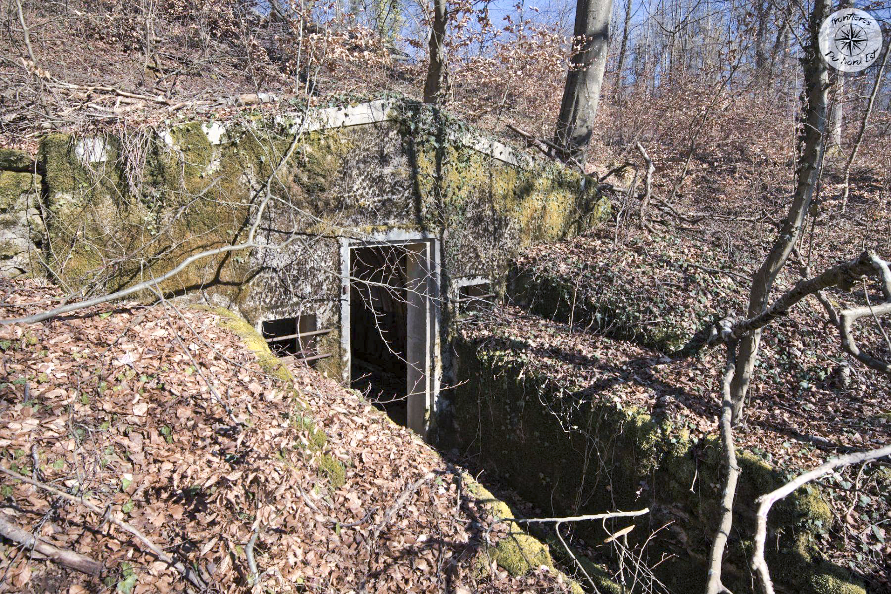 Ligne Maginot - BOIS DE LA COTE (169° RIF) - (PC de Sous-Secteur) -  - Thierry Caland