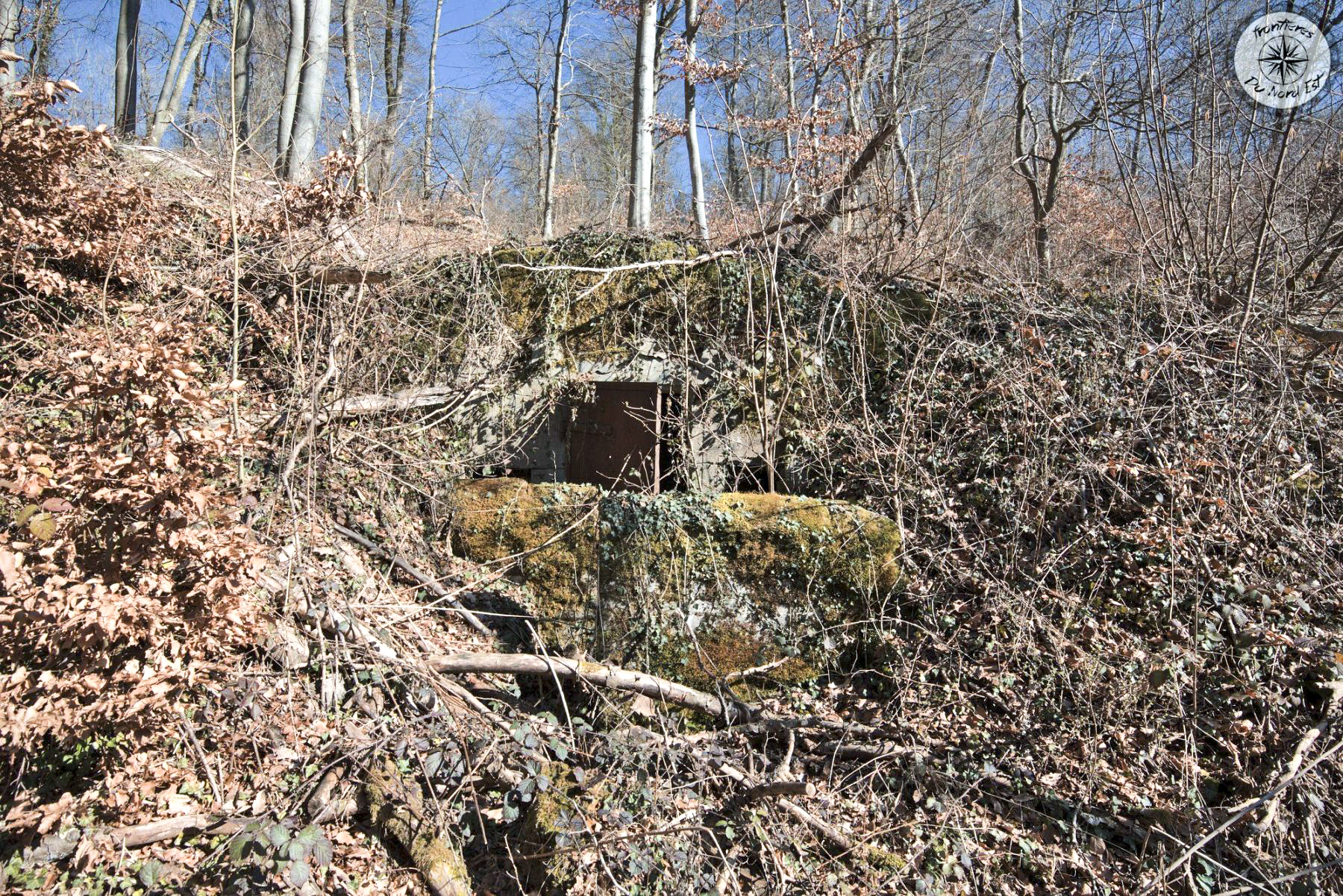 Ligne Maginot - BOIS DE LA COTE (169° RIF) - (PC de Sous-Secteur) -  - Thierry Caland