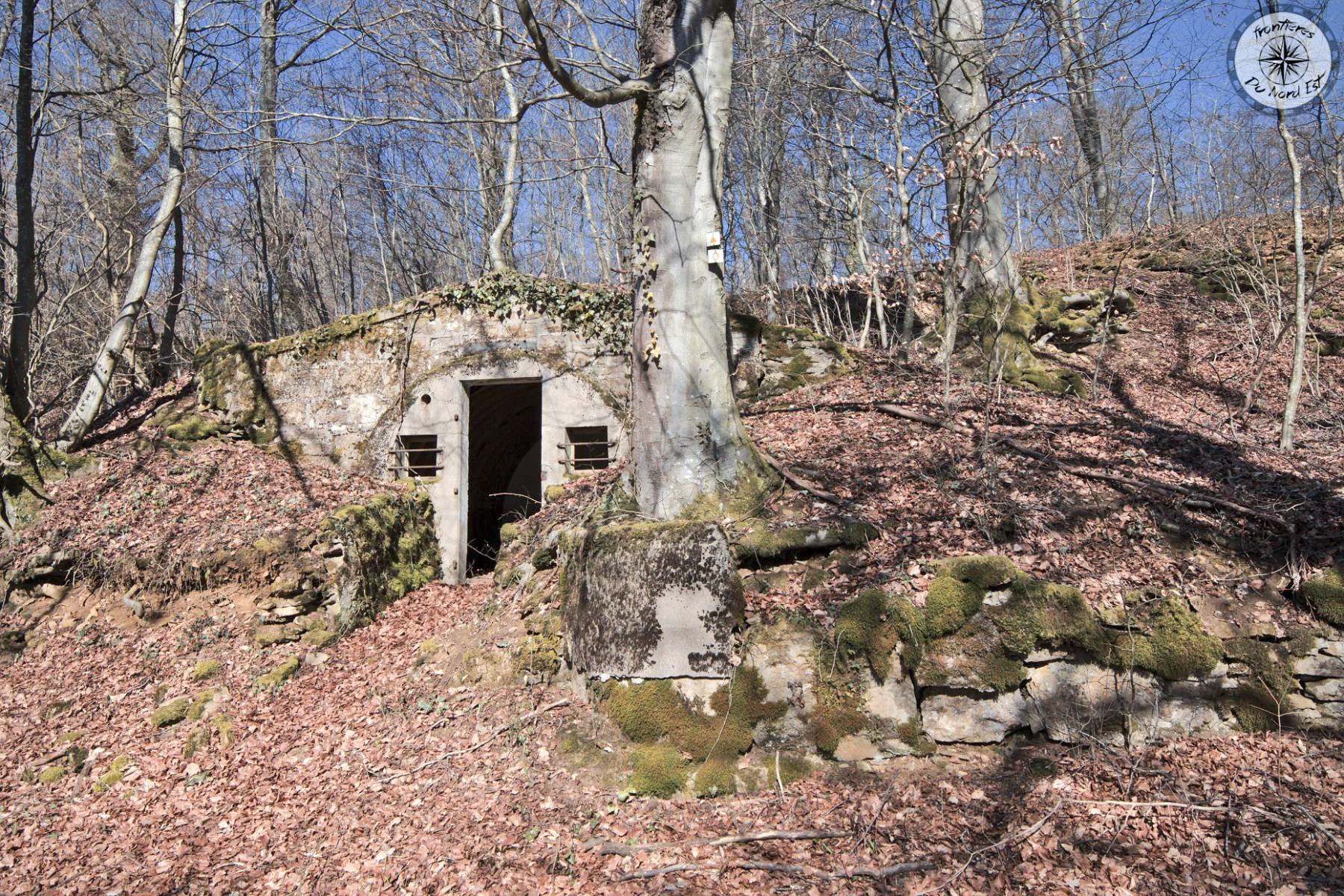 Ligne Maginot - BOIS DE LA COTE (169° RIF) - (PC de Sous-Secteur) -  - Thierry Caland