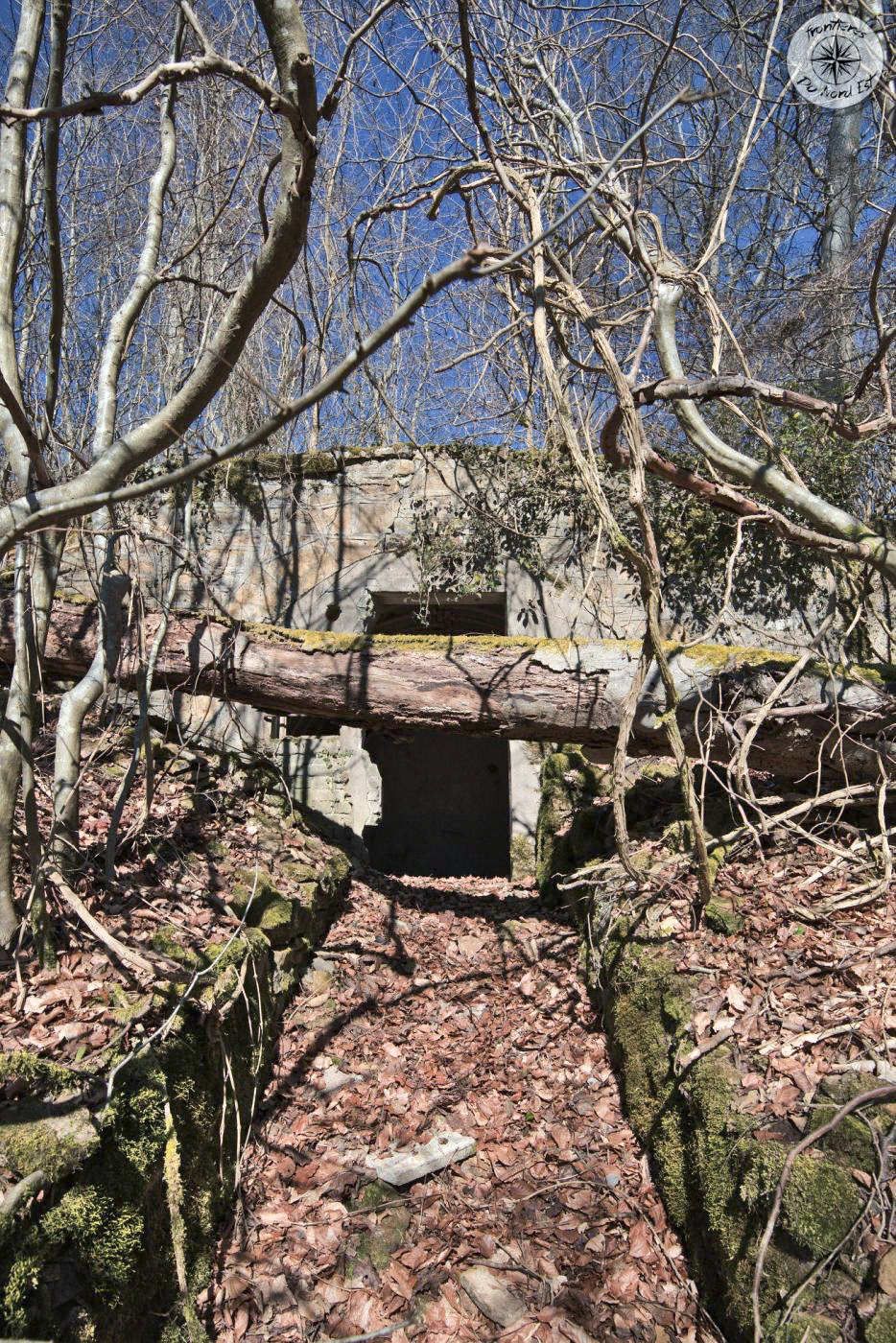 Ligne Maginot - BOIS DE LA COTE (169° RIF) - (PC de Sous-Secteur) -  - Thierry Caland