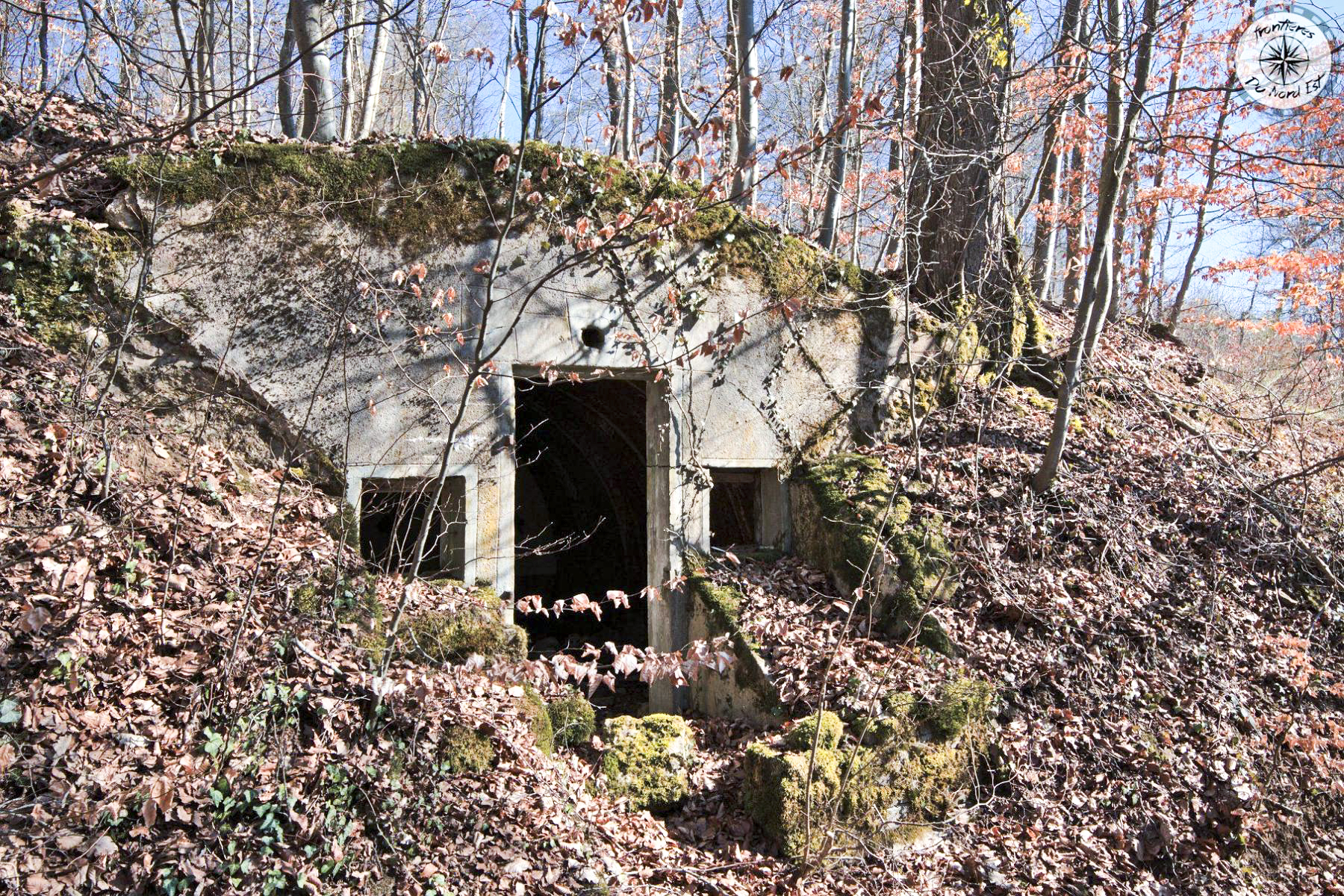 Ligne Maginot - BOIS DE LA COTE (169° RIF) - (PC de Sous-Secteur) -  - Thierry Caland