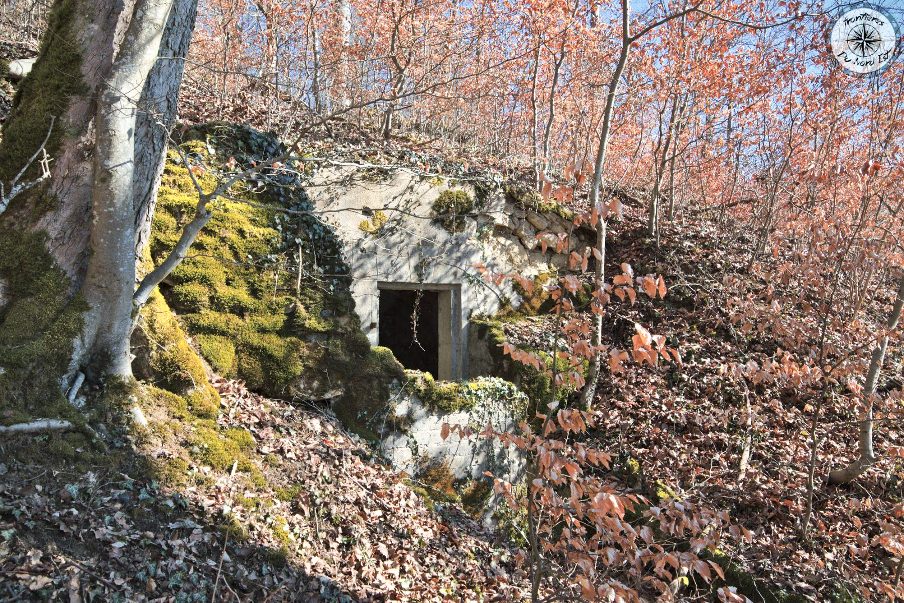 Ligne Maginot - BOIS DE LA COTE (169° RIF) - (PC de Sous-Secteur) -  - Thierry Caland