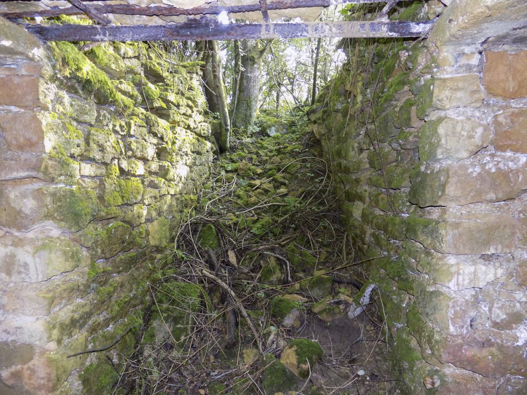Ligne Maginot - 31A - LIPHE - (Blockhaus pour canon) - Vue vers la tranchée d'accès - R Tucker