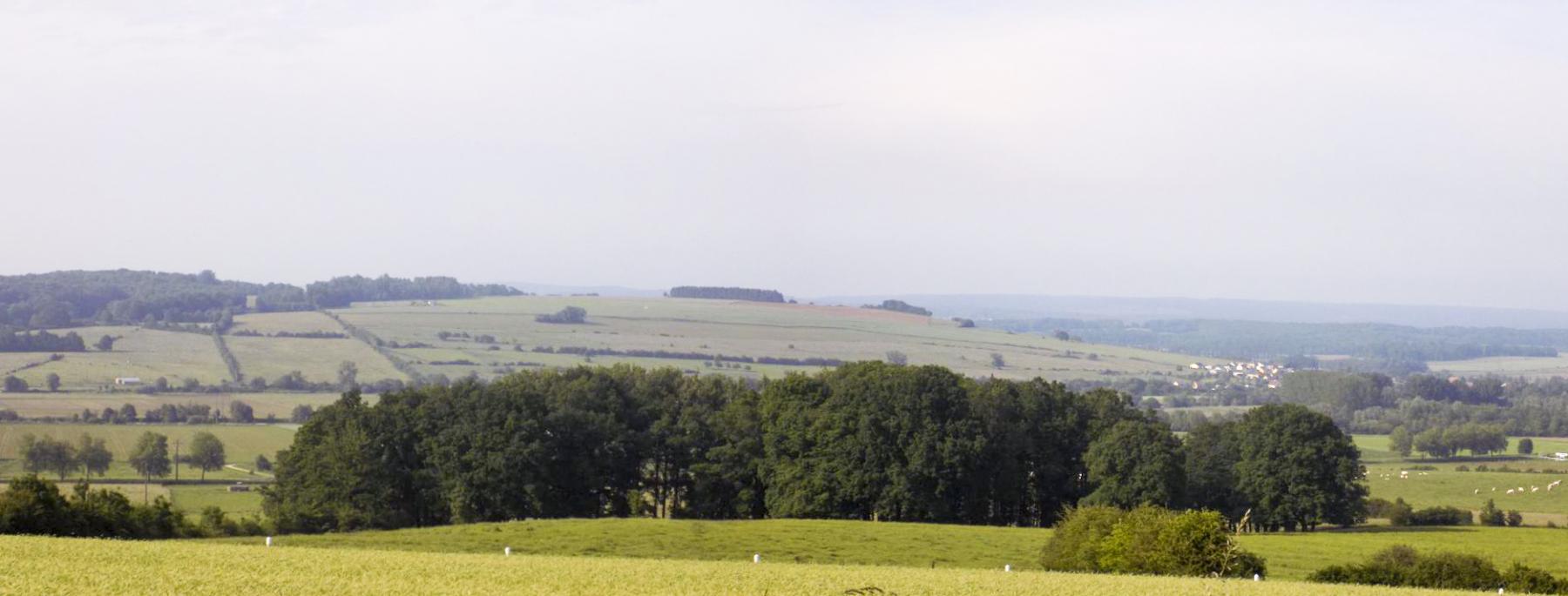 Ligne Maginot - 31A - LIPHE - (Blockhaus pour canon) - Vue vers le nord, direction de tir AC et vers le nord-est, direction de tir Hotckiss - R Tucker