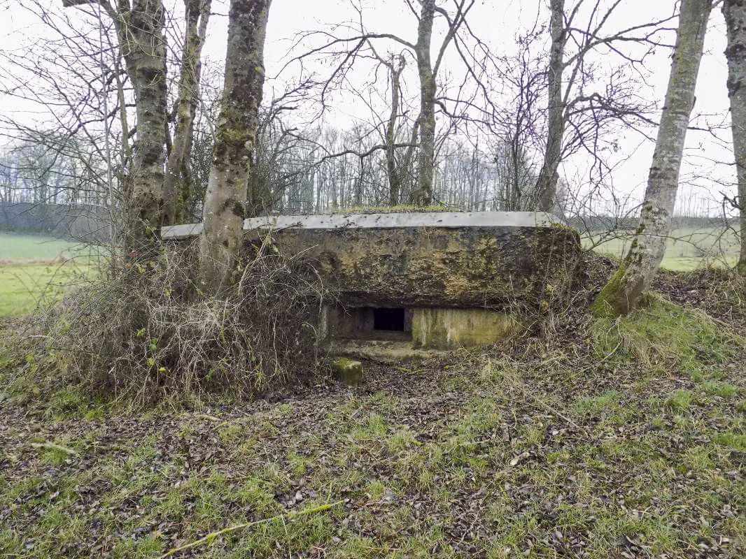 Ligne Maginot - 48TER - BUTTE DE FRENOIS OUEST - (Blockhaus pour canon) - Face frontale, créneau gauche AC - R Tucker