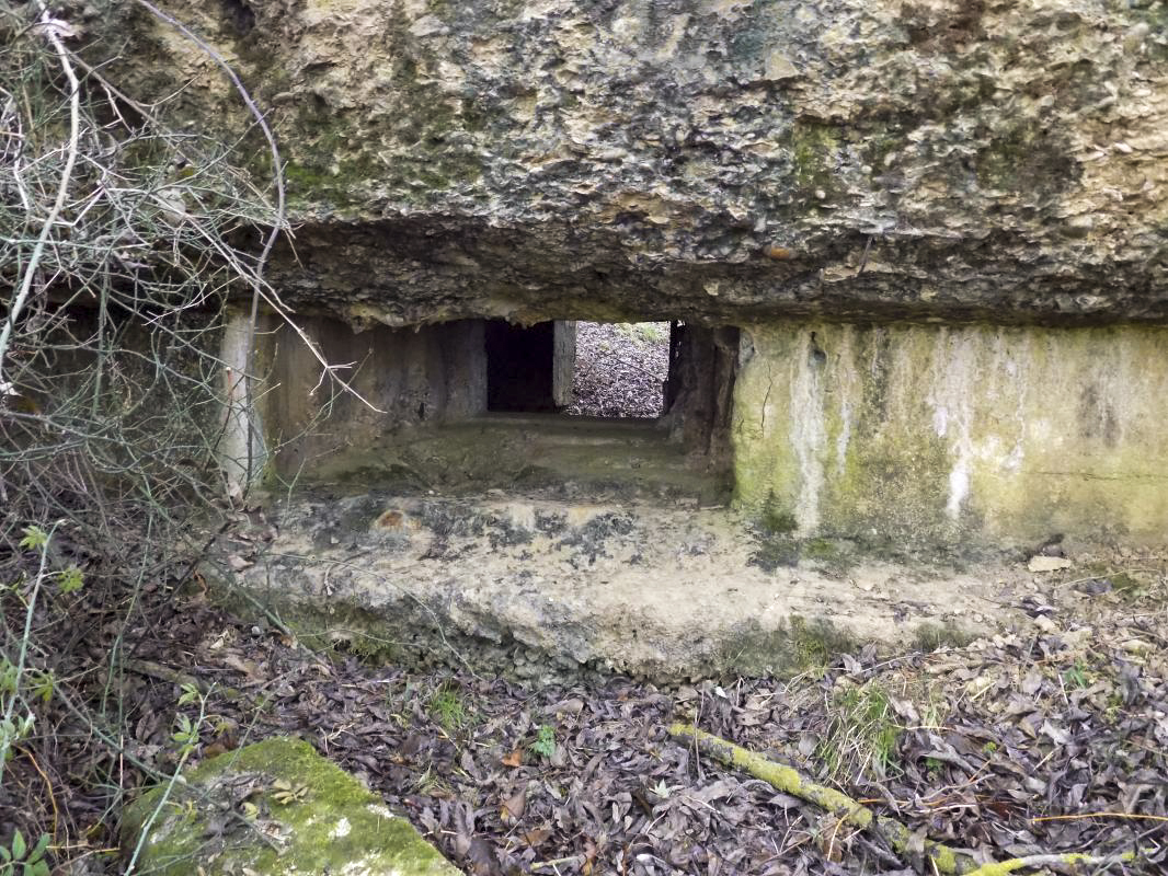 Ligne Maginot - 48TER - BUTTE DE FRENOIS OUEST - (Blockhaus pour canon) - Face frontale, créneau gauche AC - R Tucker