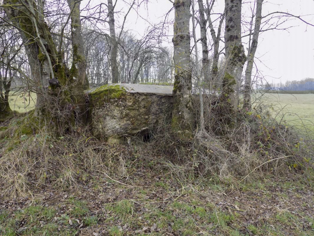 Ligne Maginot - 48TER - BUTTE DE FRENOIS OUEST - (Blockhaus pour canon) - Face frontale, créneau droite Hotchkiss - R Tucker