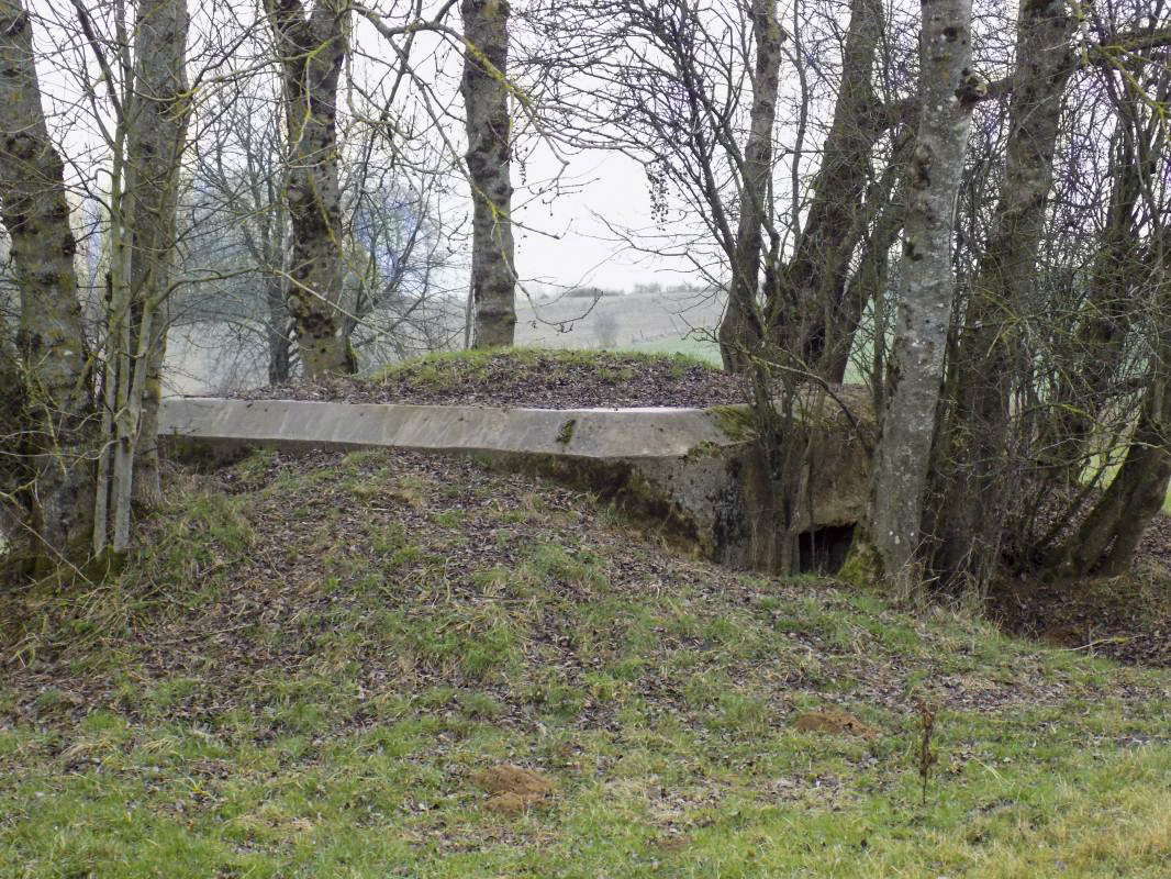 Ligne Maginot - 48TER - BUTTE DE FRENOIS OUEST - (Blockhaus pour canon) - Faces gauche et l'arrière - R Tucker
