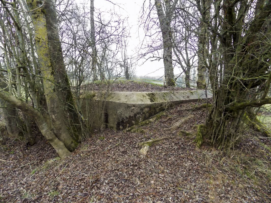 Ligne Maginot - 48TER - BUTTE DE FRENOIS OUEST - (Blockhaus pour canon) - Faces l'arrière et droite - R Tucker