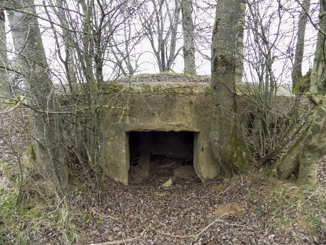 Ligne Maginot - 48TER - BUTTE DE FRENOIS OUEST - (Blockhaus pour canon) - L'entrée AC - R Tucker