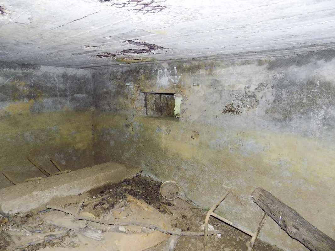 Ligne Maginot - 48TER - BUTTE DE FRENOIS OUEST - (Blockhaus pour canon) - Créneau gauche AC - R Tucker