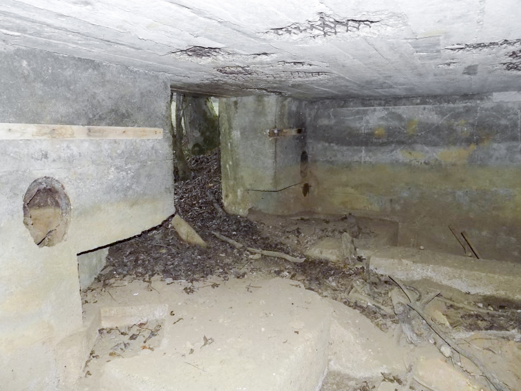 Ligne Maginot - 48TER - BUTTE DE FRENOIS OUEST - (Blockhaus pour canon) - L'entrée avec trous pour pieds AC 25mm ou 37mm - R Tucker