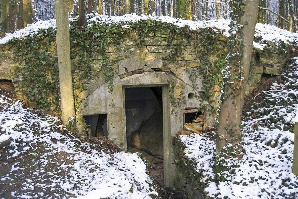 Ligne Maginot - BOIS BABERT (1 / 70° RAMF) - (PC) -  - Michel Teiten