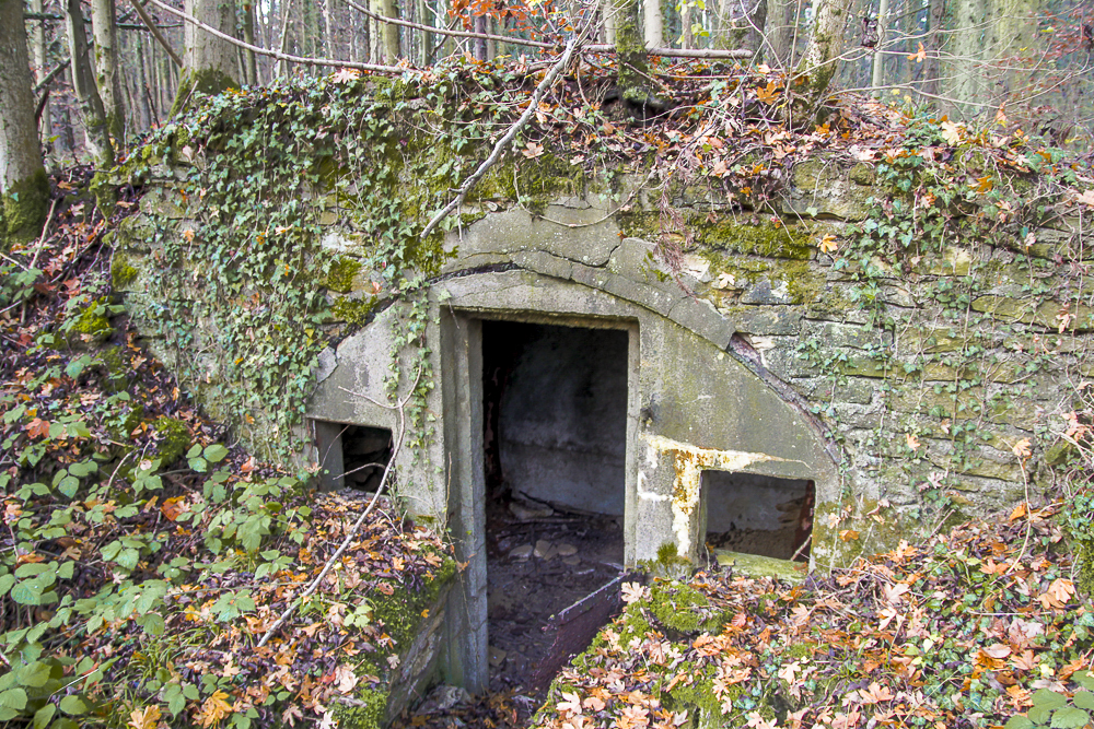 Ligne Maginot - BOIS BABERT (1 / 70° RAMF) - (PC) - Alvéole 1 - Michel Teiten