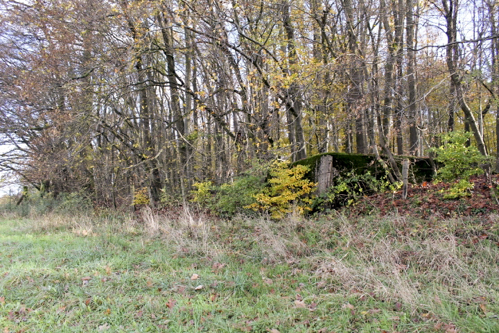Ligne Maginot - PFAFFENBUSCH 2 - (Observatoire d'infanterie) -  - Christian LENHARD