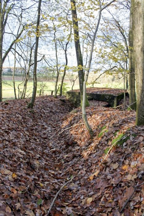 Ligne Maginot - PFAFFENBUSCH 2 - (Observatoire d'infanterie) -  - Christian LENHARD