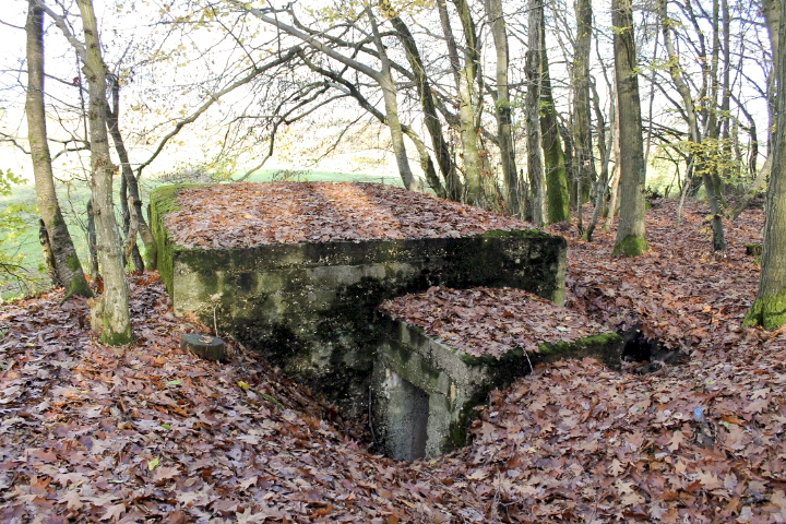 Ligne Maginot - PFAFFENBUSCH 2 - (Observatoire d'infanterie) -  - Christian LENHARD
