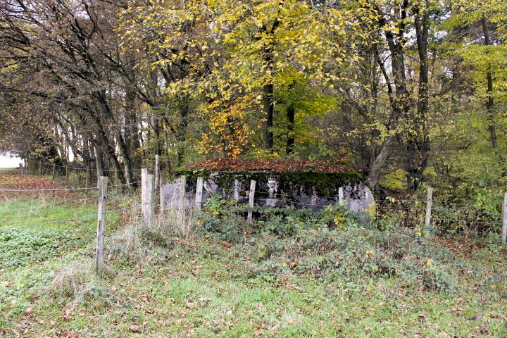 Ligne Maginot - PFAFFENBUSCH 3 - (Observatoire d'infanterie) -  - Christian LENHARD