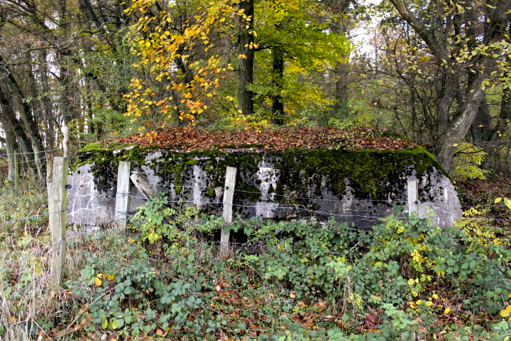 Ligne Maginot - PFAFFENBUSCH 3 - (Observatoire d'infanterie) -  - Christian LENHARD
