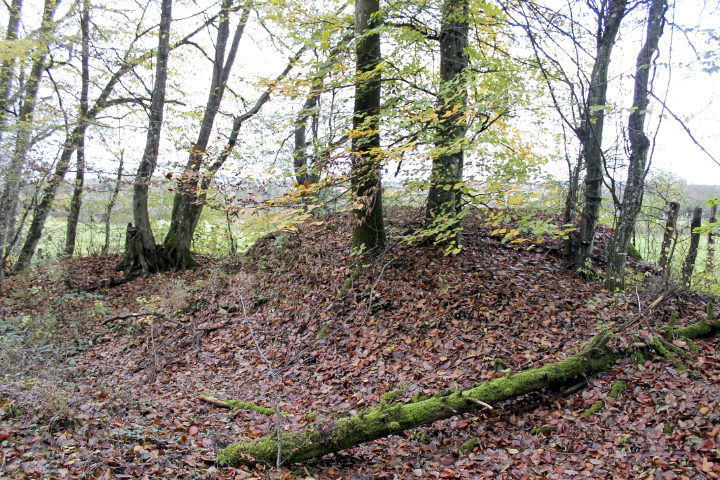 Ligne Maginot - PFAFFENBUSCH 3 - (Observatoire d'infanterie) -  - Christian LENHARD