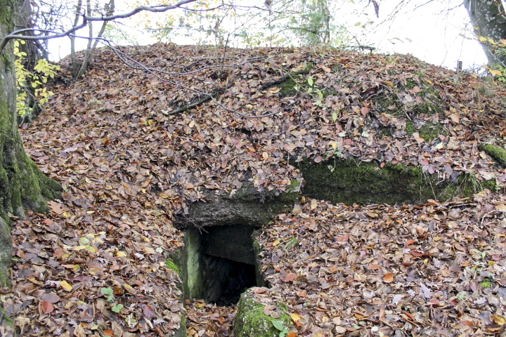 Ligne Maginot - PFAFFENBUSCH 3 - (Observatoire d'infanterie) -  - Christian LENHARD