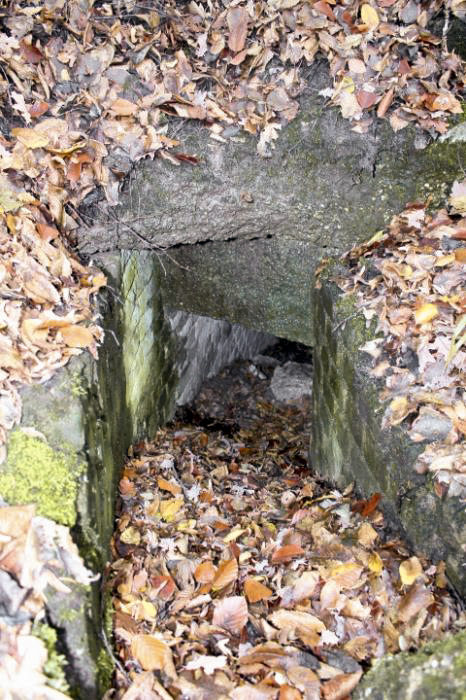 Ligne Maginot - PFAFFENBUSCH 3 - (Observatoire d'infanterie) -  - Christian LENHARD