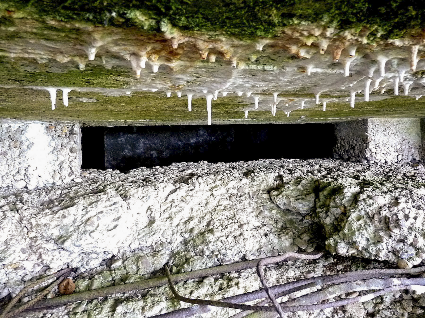 Ligne Maginot - PFAFFENBUSCH 2 - (Observatoire d'infanterie) -  - Sylvie Laure LAMBERT