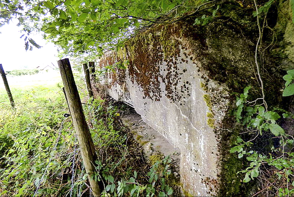 Ligne Maginot - PFAFFENBUSCH 3 - (Observatoire d'infanterie) -  - Sylvie Laure LAMBERT