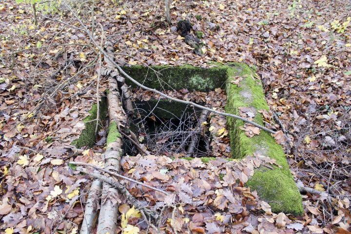 Ligne Maginot - PFAFFENBUSCH 4 - (Chambre de coupure) -  - Christian LENHARD