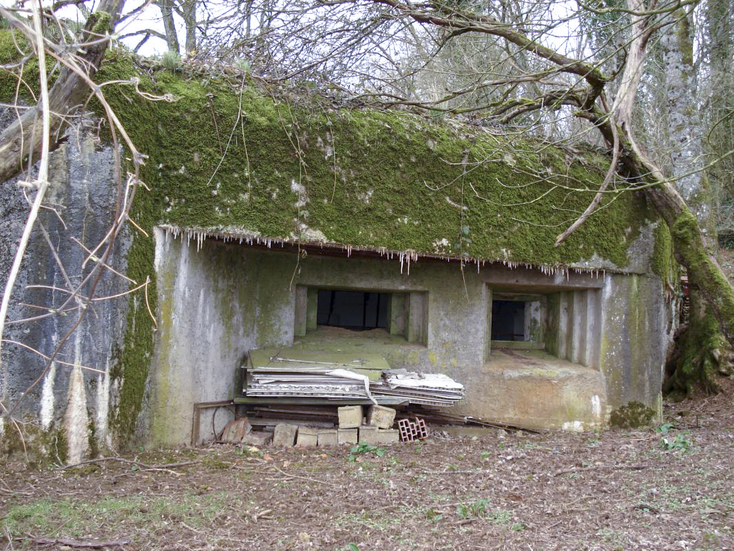 Ligne Maginot - 163 - COTE DE LA VALLIERE - (Blockhaus lourd type STG / STG-FCR - Simple) - Façade de tir - R Tucker