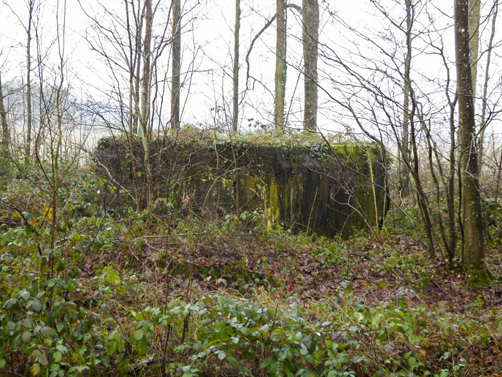 Ligne Maginot - 201 - LA NIVRAGNE OUEST - (Blockhaus pour canon) -  - JMBrams