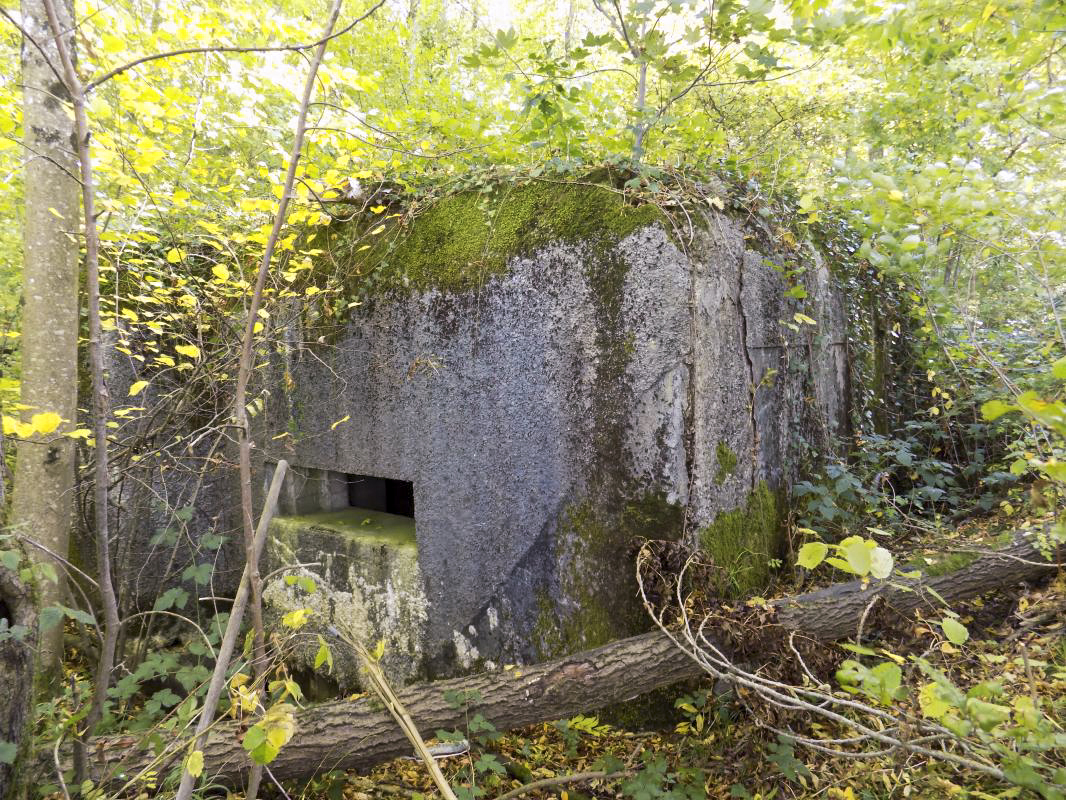 Ligne Maginot - 201 - LA NIVRAGNE OUEST - (Blockhaus pour canon) - Faces frontale et gauche. Noter le sillon diagonal dans le béton... ceci marque l'emplacement prévu du terrassement de pierres et de terre contre la face gauche. - R Tucker