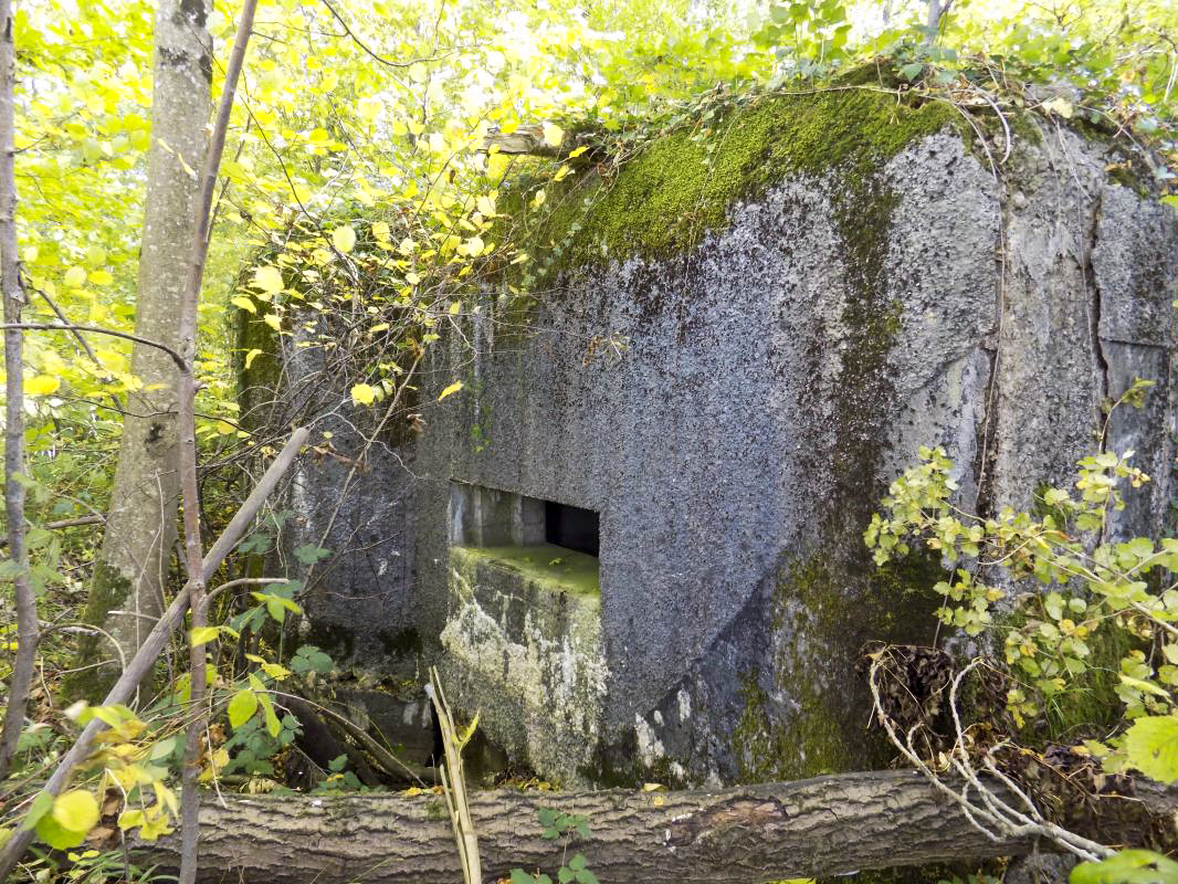 Ligne Maginot - 201 - LA NIVRAGNE OUEST - (Blockhaus pour canon) - Face frontale - R Tucker