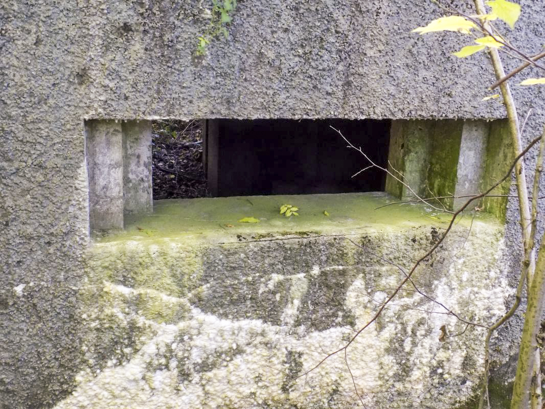 Ligne Maginot - 201 - LA NIVRAGNE OUEST - (Blockhaus pour canon) - Face frontale créneau AC - R Tucker