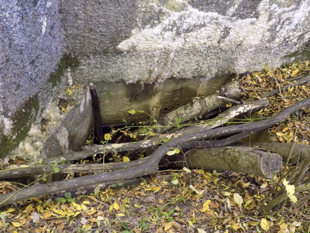 Ligne Maginot - 201 - LA NIVRAGNE OUEST - (Blockhaus pour canon) - Face frontale puits - R Tucker